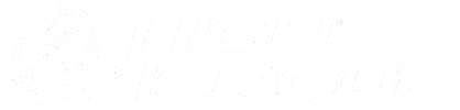 Cópia de logotipo High Torque sem kaizen v2